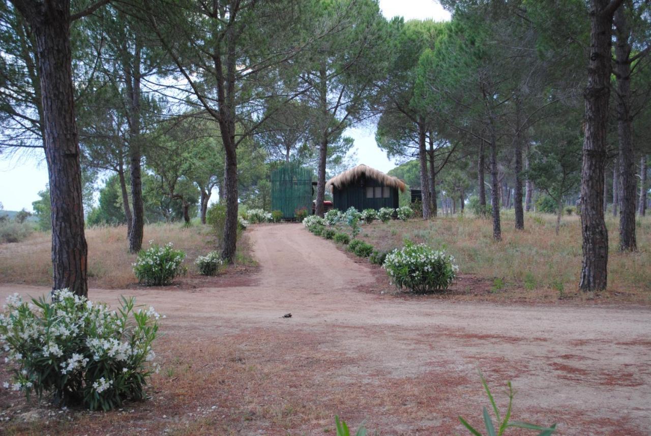 Ying Yang Monte Da Lua Villa Comporta Eksteriør billede