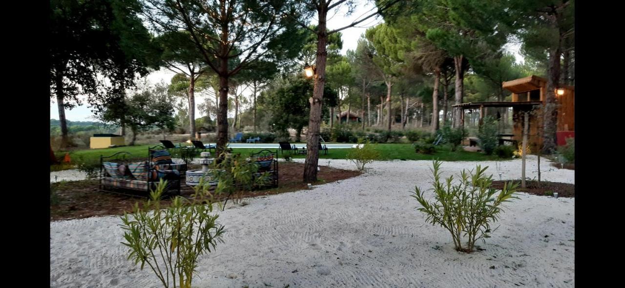 Ying Yang Monte Da Lua Villa Comporta Eksteriør billede