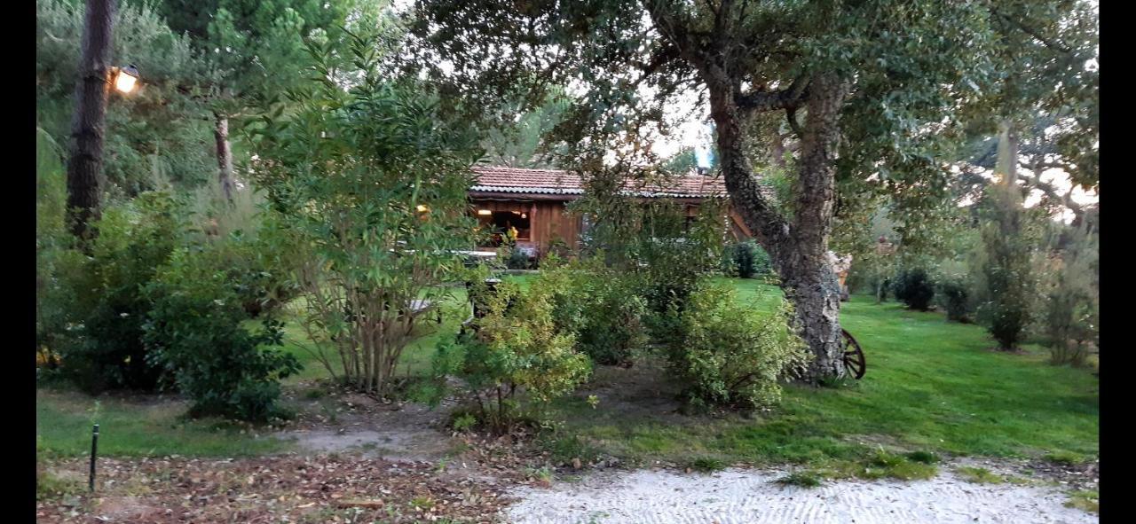 Ying Yang Monte Da Lua Villa Comporta Eksteriør billede