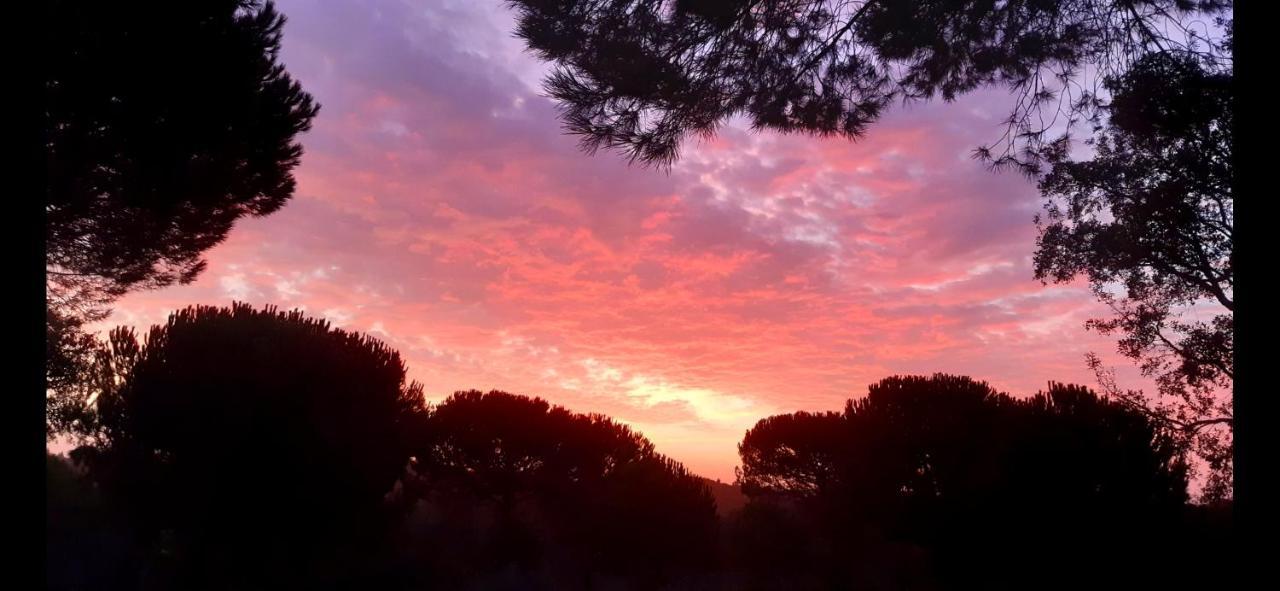 Ying Yang Monte Da Lua Villa Comporta Eksteriør billede