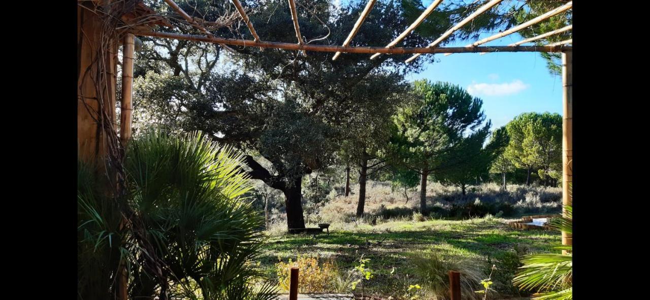 Ying Yang Monte Da Lua Villa Comporta Eksteriør billede