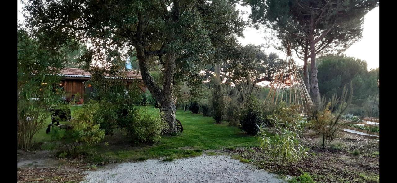 Ying Yang Monte Da Lua Villa Comporta Eksteriør billede