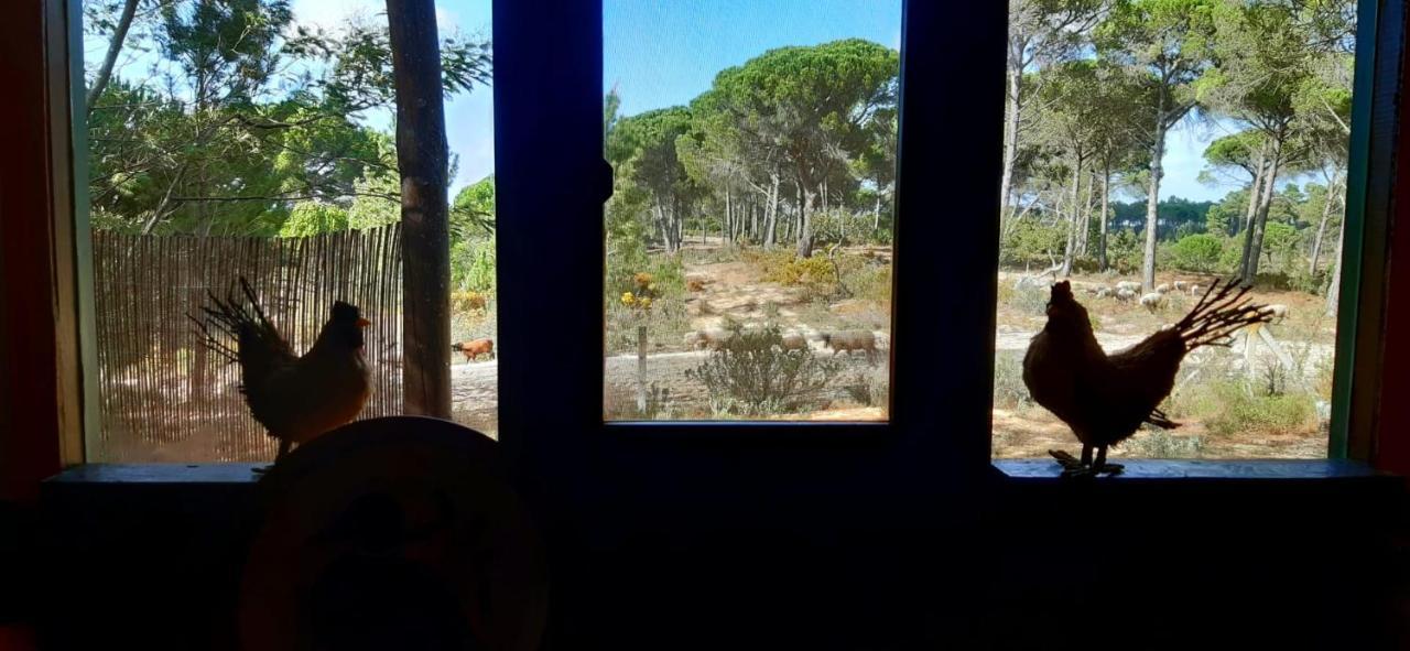 Ying Yang Monte Da Lua Villa Comporta Eksteriør billede